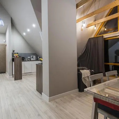Apartament Bory Delux *